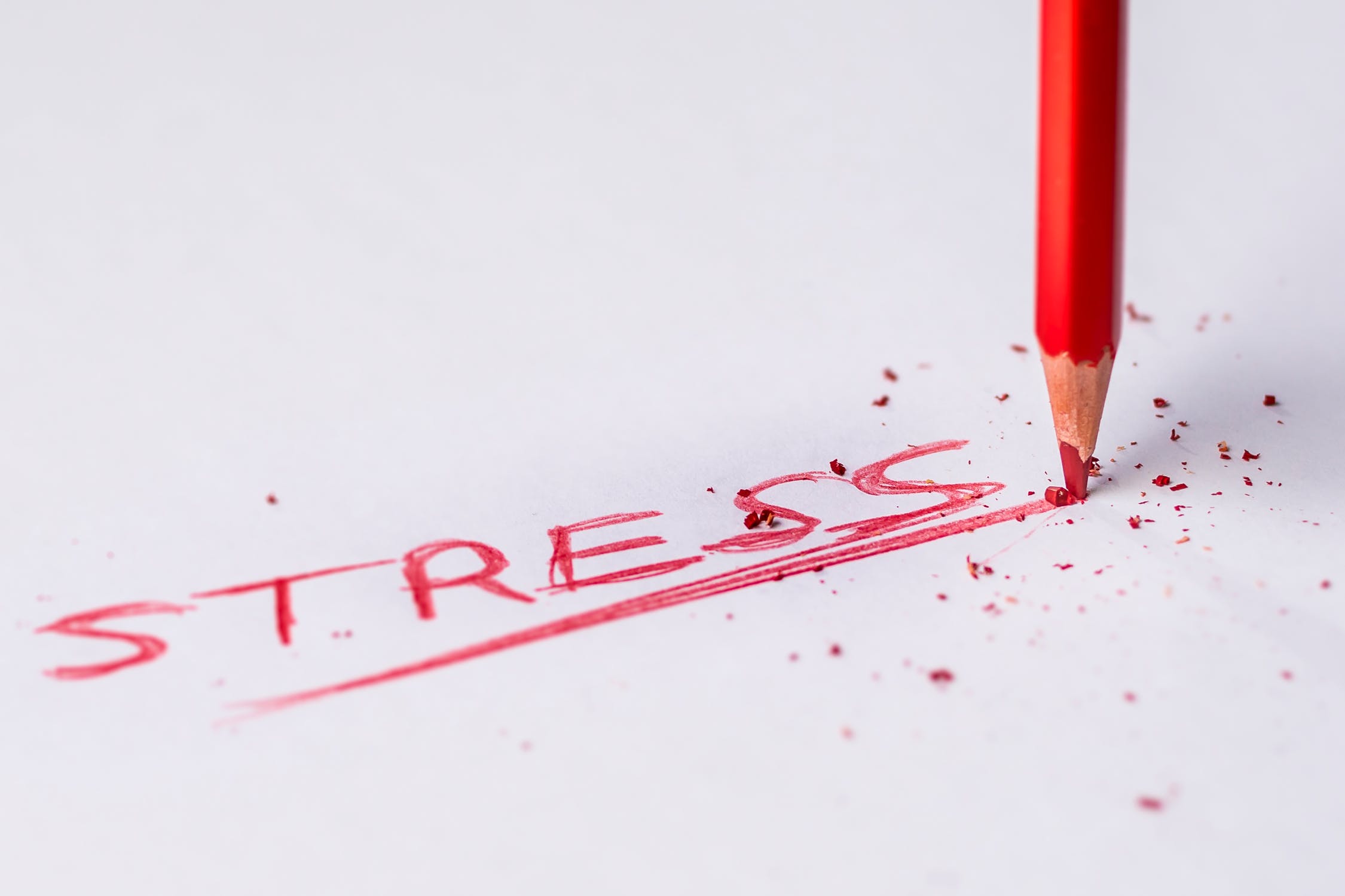 Skräddarsydd heldagsutbildning om stress och psykisk ohälsa